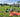 Drone Safety ist zertifiziert für den Vertrieb von DJI Agriculture / Agras Produkte