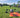 Drone Safety ist zertifiziert für den Vertrieb von DJI Agriculture Produkte