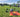 Drone Safety ist zertifiziert für den Vertrieb von DJI Agriculture / Agras Produkte