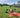 Drone Safety ist zertifiziert für den Vertrieb von DJI Agriculture / Agras Produkte