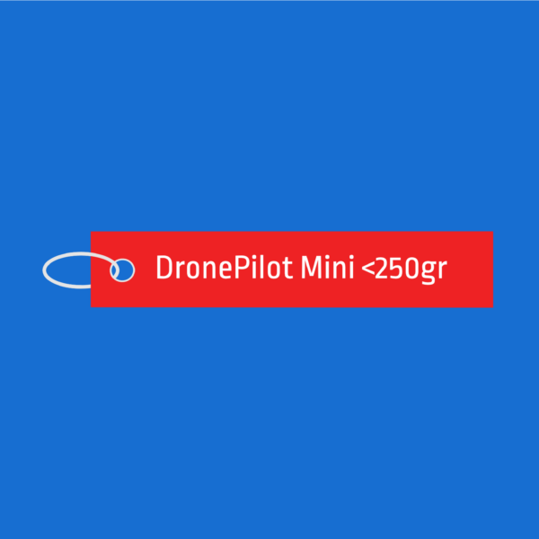 Schulung „DronePilot Mini <250gr"